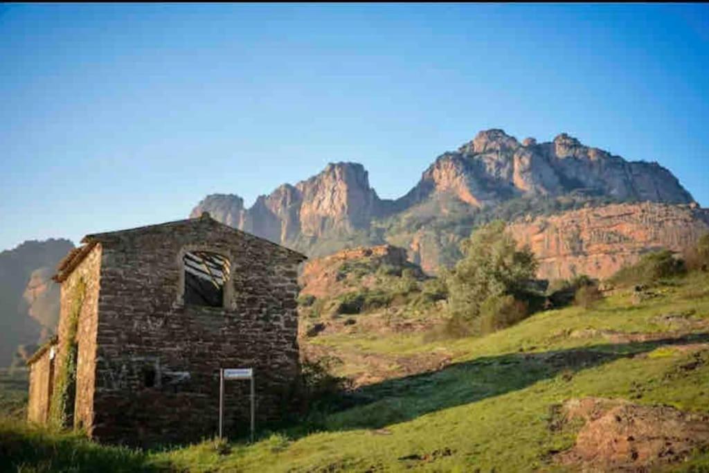 Villa Alisa Avec Piscine Privee Roquebrune-sur-Argens Buitenkant foto