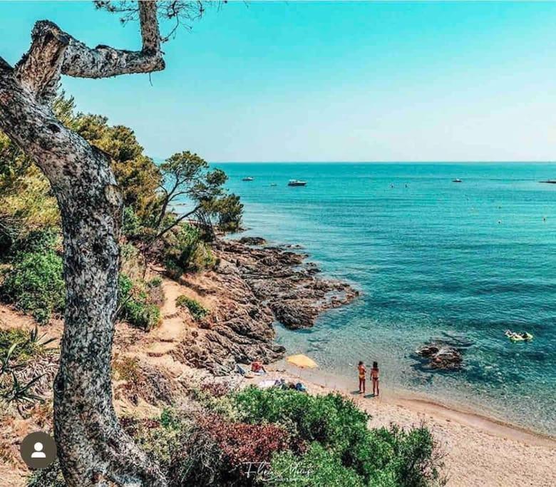 Villa Alisa Avec Piscine Privee Roquebrune-sur-Argens Buitenkant foto