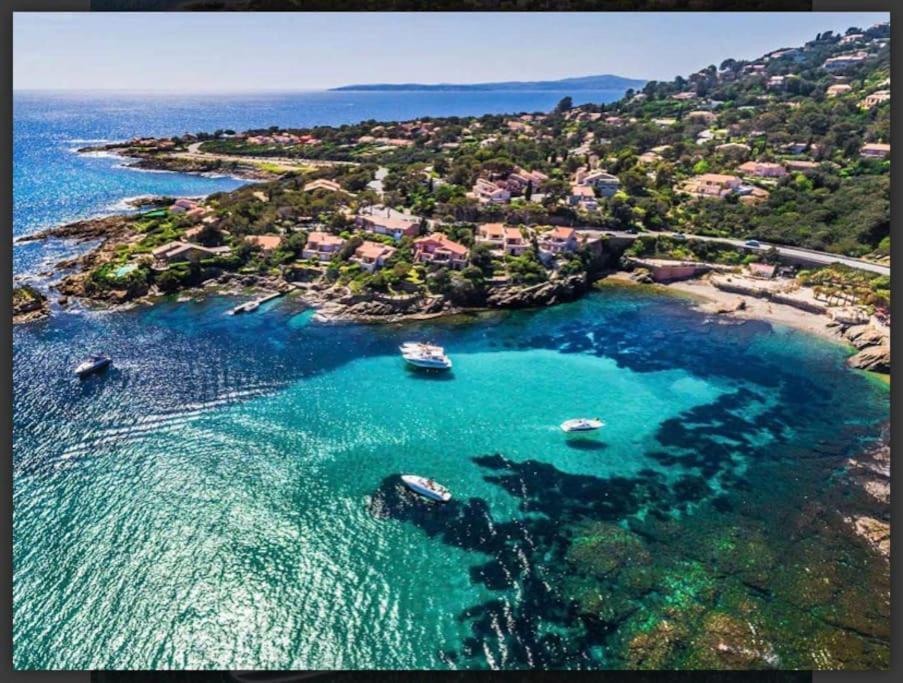 Villa Alisa Avec Piscine Privee Roquebrune-sur-Argens Buitenkant foto